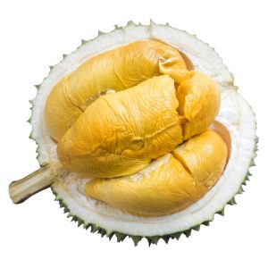 Sầu riêng Black Thorn D200