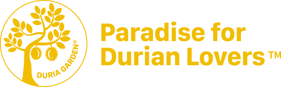 DURIA GARDEN – Paradise for Durian Lovers