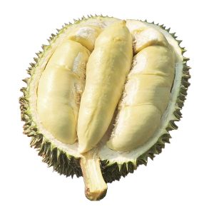 Sầu riêng sữa Chín Hóa